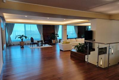 Penthouse cu 5 camere semidecomandat, mobilat în Herăstrău - 3