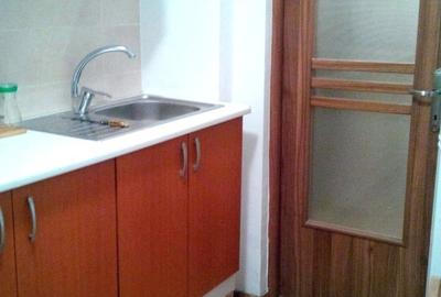 2 camere, renovat, mobilat, vedere panoramica,  Eroii Revolutiei, Giurgiului - 7