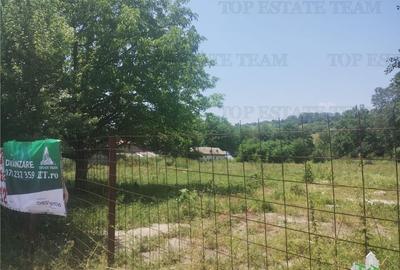 Teren intravilan construibil, excelent potential investition - 1