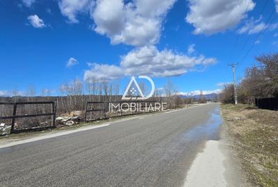 Teren intravilan de 12771 mp, în Bârsești - 6