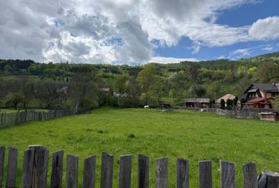 Teren de 3600 mp, în Valea Doftanei