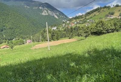 Teren de 1432 mp, în Măgura - 7