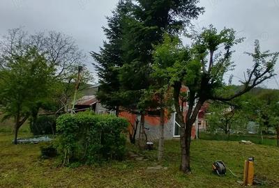 Casă cu 6 camere cu Teren 900 Mp în Podul Vadului