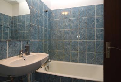 Apartament cu 2 camere decomandat, mobilat în Dristor - 14