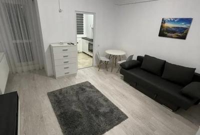 Inchiriere garsoniera Avangarde City // str. Tineretului 17// Militari Residence - 3