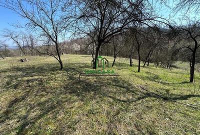 Teren de 8131 mp, în Băile Govora - 4