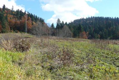 Predeal-Teren intravilan situat in Paraul Rece - 2