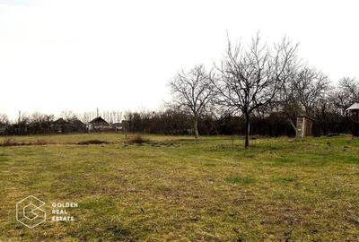 Teren Construcții intravilan de 2880 mp, în Șiria - 8