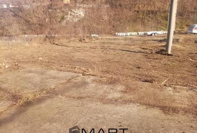 Teren de 7432 mp, în Săsciori - 10