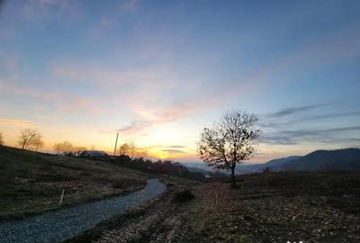 Teren de 10000 mp, în Ferneziu - 2