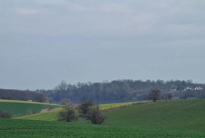 Teren de 1000 mp, în Căciulați - 1