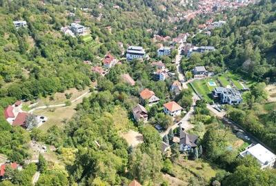 Teren intravilan Brasovul Vechi - 5