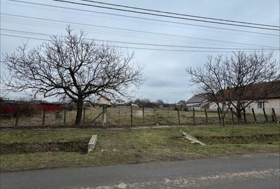 Teren Construcții intravilan de 3104 mp, în Becicherecu Mic - 1