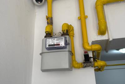 Apartament cu 2 camere decomandat în Lacul Tei - 8