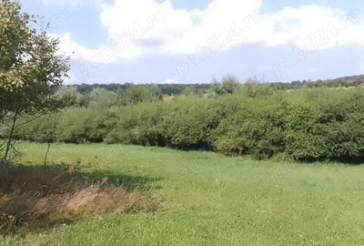 Teren de 4400 mp, în Mitocu Dragomirnei - 4