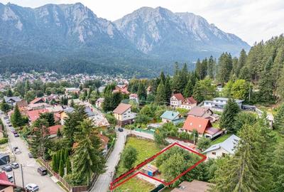 Teren casa de vacanta in Busteni - langa padure- vedere spre Bucegi - 2