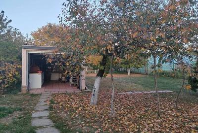 Casa Renovata Afumati I Teren 1100mp I Toate Utilitatile - 13