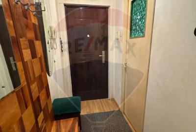 Apartament cu 2 camere semidecomandat în Valea Rosie - 8