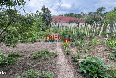 Casă cu 3 camere cu Teren 537 Mp în Ighiu