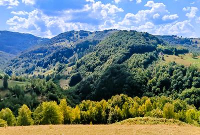 CASA TRADITIONALA, ANEXE si 46.980 mp teren partial INTRAVILAN BULZ - BIHOR - 33