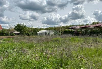 Spațiu comercial, în Vlădiceasca - 3