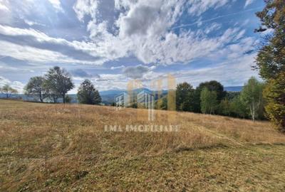 Teren Intorsura Buzaului Dealul Frumos - 10
