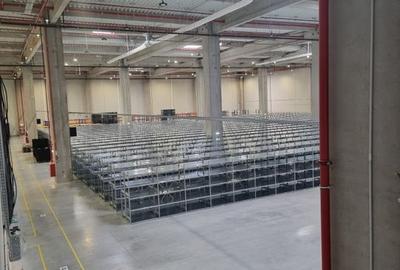 Spațiu Logistică/Depozitare Clasa A, Buftea - 8