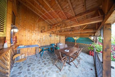 Casa de vacanta in Azuga- la doar 2 km de partia de ski - 22