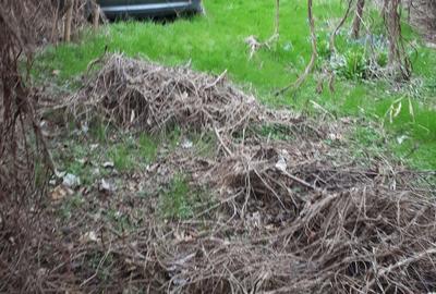 Casa + teren bolintin vale - 2