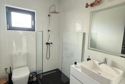Casă cu 2 camere cu Teren 498 Mp în Cetate - 12
