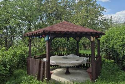 Baia Sprie, casa cu etaj ,10 ari teren - 10