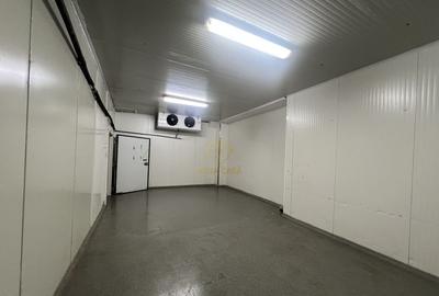 De inchiriat Camere Frigo Congelare/Refrigerare-Suprafete...