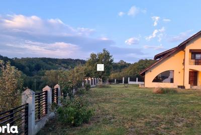 Casă cu 3 camere cu Teren 3070 Mp în Central - 17