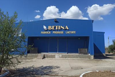 HALA ideala pentru PRODUCTIE ALIMENTARA, Poiana, Ovidiu - 827 mp, teren 4066 mp - 11