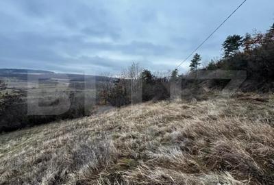 Teren de 4300 mp, în Vințu de Jos - 1