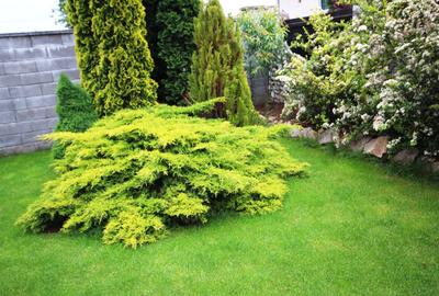 Casa individuala, ideala pentru o familie - 3