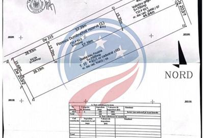 Hala Depozit si curte Malu Mare - 8