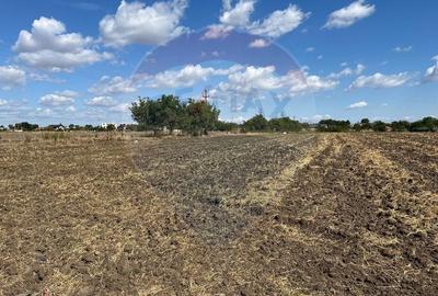 Teren Construcții intravilan de 4000 mp, în Sud-Vest - 7