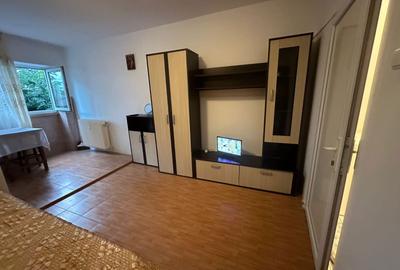 Garsonieră semidecomandată în Lăpuș - 3