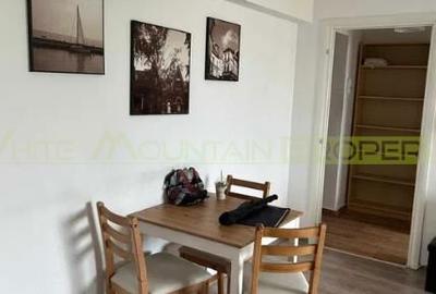 Apartament cu 2 camere, mobilat în Romană - 9