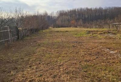 Casă cu 4 camere în Băbeni - 1