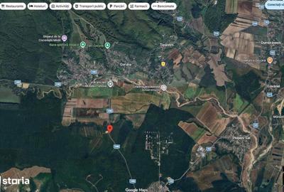 Spațiu comercial, în Butuci - 3