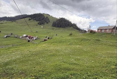 Spațiu comercial, în Cârlibaba - 2