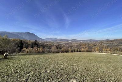 Teren de 500 mp, în Predeluț