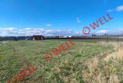 Casă cu 4 camere cu Teren 1122 Mp în Ozun - 14