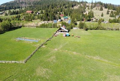 De vânzare teren de 4 ha în Comandău! - 23