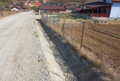 Teren de 1000 mp, în Jelna - 6