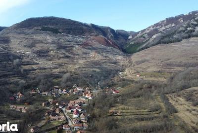 Teren de 1271 mp, în Livezile