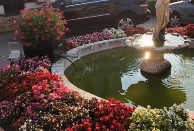 Casa cu piscina si teren 1400 mp in Chinteni - 3