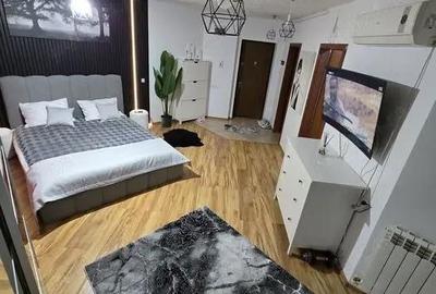 Garsonieră semidecomandată în Doamna Ghica - 6